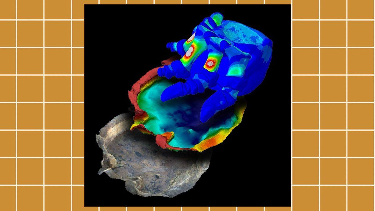 70 Tona Kadar Ulaştıkları Tahmin Edilen Dinozorlar, Bu Devasa Vücutları Nasıl Taşımıştı?