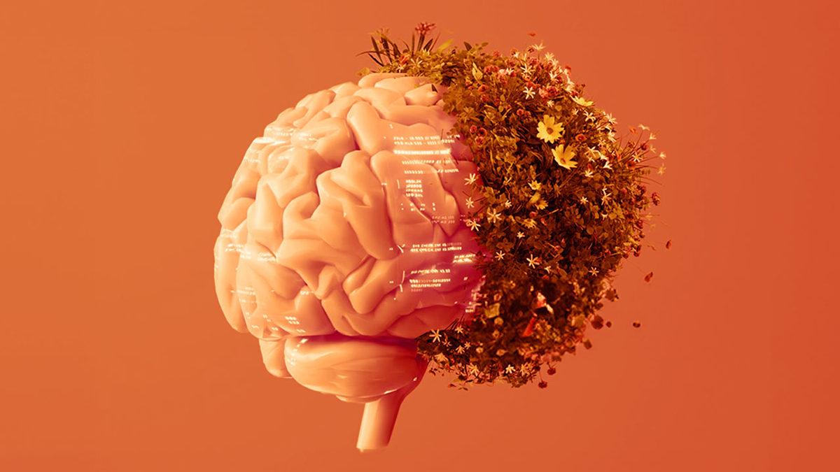 Yerli Bilgi Teknolojileri Şirketi PEAKUP’ın Odağında İkiz Dönüşüm, Dijitalleşme ve Sürdürülebilirlik Var