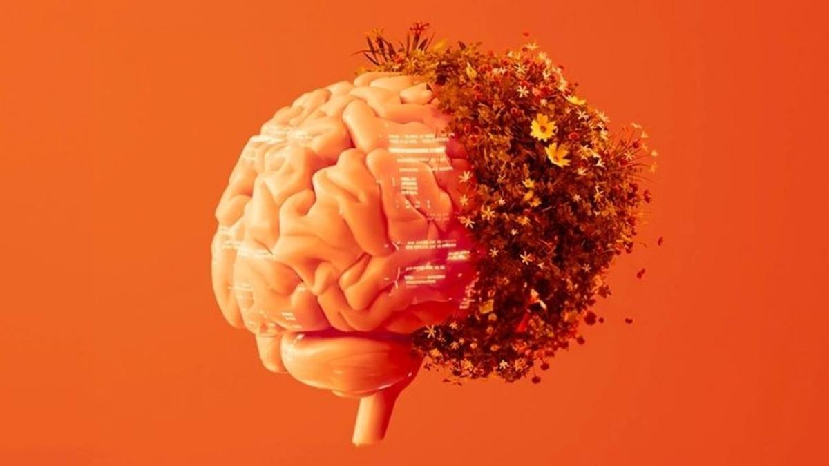 Yerli Bilgi Teknolojileri Şirketi PEAKUP’ın Odağında İkiz Dönüşüm, Dijitalleşme ve Sürdürülebilirlik Var