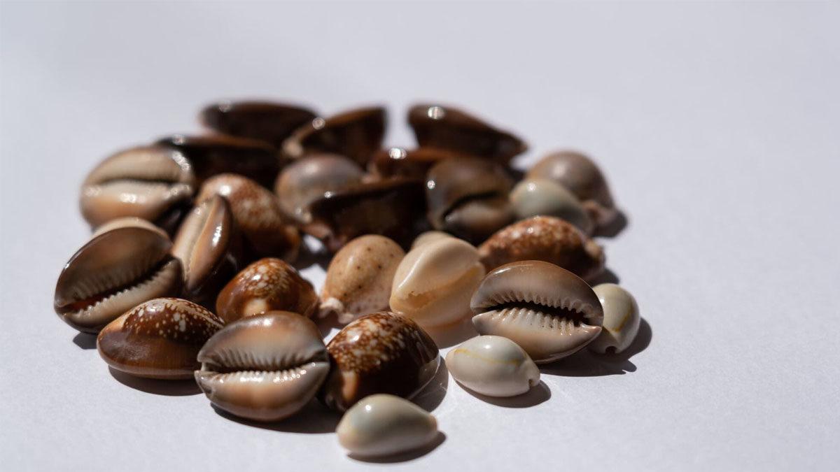 Tarih Boyunca Kullanılmış En İlginç Para Birimleri (Bazıları “Ne Alaka?” Dedirtebilir!)