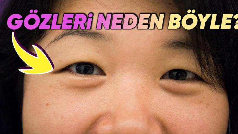 Bilimin Penceresinden Açıkladık: Asyalıların Çoğunluktan Farkları Ne de Böyle Çekik Gözlere Sahipler?