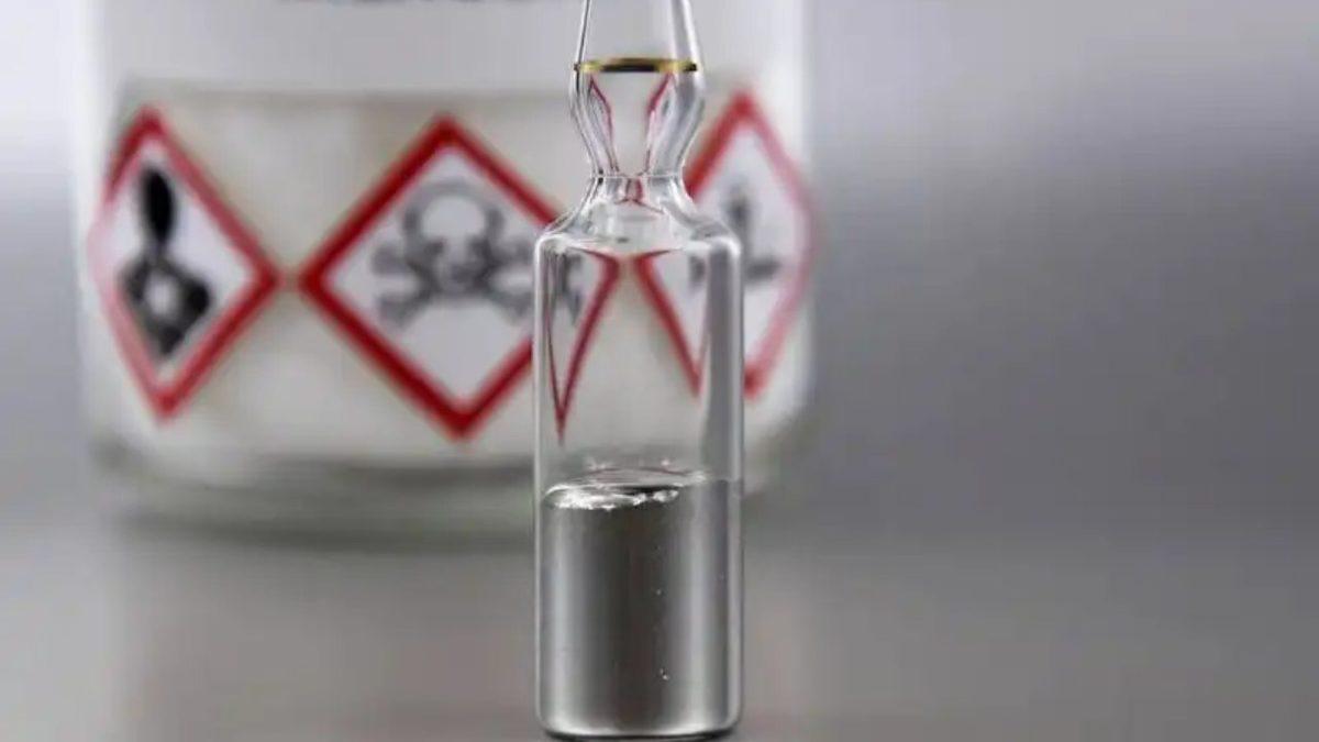 Deniz Ürünlerini Tüketirken Artık 1 Kez Daha Düşündürecek Çarpıcı Araştırma