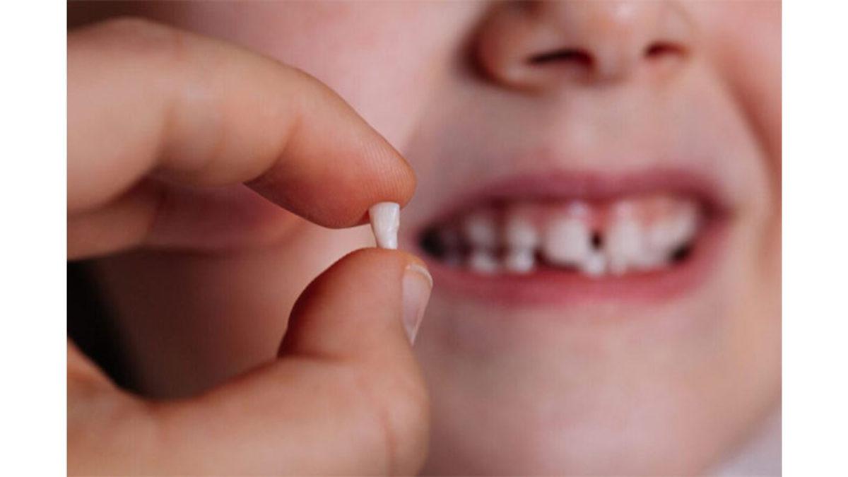 İnsan Vücudunun Neden Ömrü Boyunca Yalnızca İki Kere Diş Çıkardığını Açıklıyoruz!