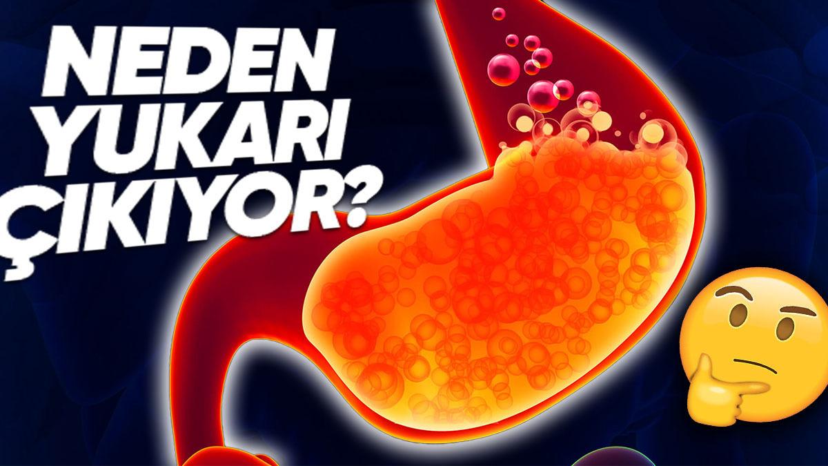 Mide Asidi Neden Yukarı Doğru Hareket Edip Zehir Gibi Bir Tat Almamıza Sebep Oluyor?