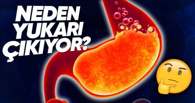 Mide Asidi Neden Yukarı Doğru Hareket Edip Zehir Gibi Bir Tat Almamıza Sebep Oluyor?