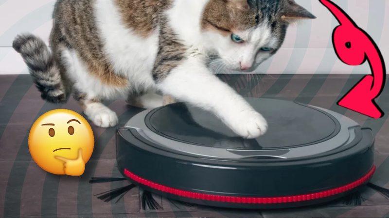 Robot Süpürgeler,  Radar Sistemleri Olmamasına Rağmen Yönlerini Nasıl Bu Kadar İyi Bulabiliyor?