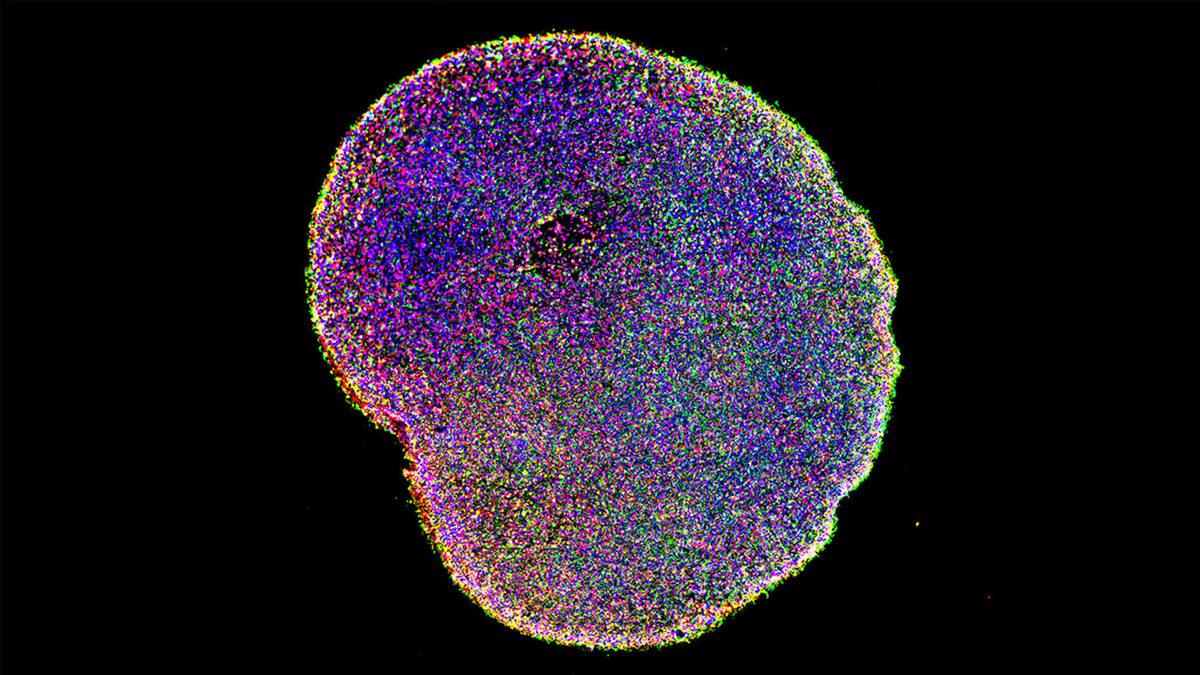 Yüzyıllardır Neden Hiç Yeni Temel Renk Keşfedemedik? Bilim Bu Konuda Gerçekçi ve Çarpıcı Sebepler Sunuyor!