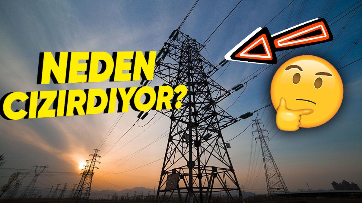Zaman Zaman Elektrik Direklerinden Geldiğini Duyduğumuz "Cızırtı" Sesi Neden Oluşuyor?