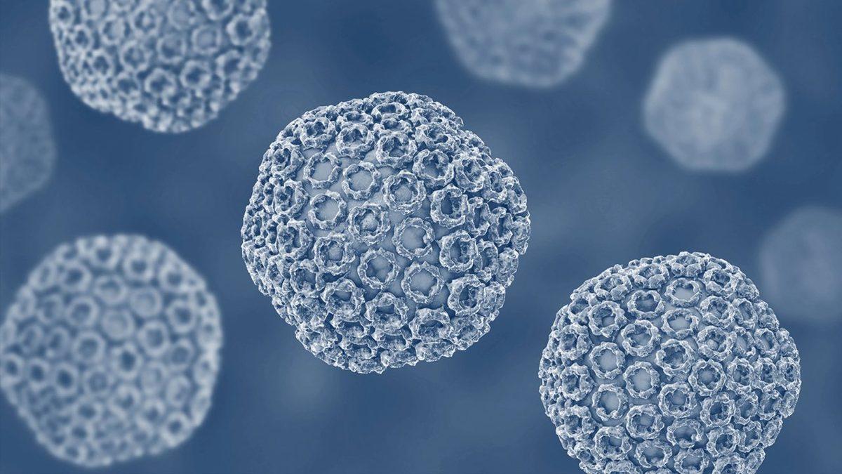 Almanya’daki Gizemli Riems Adası’nı Ziyaret Etmek Neden Yasak? (Buraya Attığınız Tek Adım, Hayatınıza Mal Olabilir!)