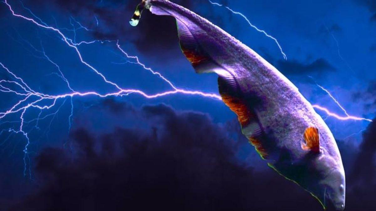 İnsanlarda Olmayan Ancak Hayvanları Hayata Bağlayan 4 Farklı Algılama Yeteneği (Her Biri Birbirinden İşlevsel)