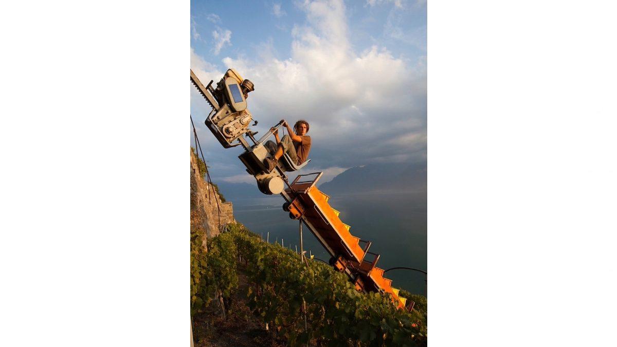 Bazı Tarlalara Neden Tren Rayı Kuruyorlar? Tek Sebebi Ulaşım Değil!