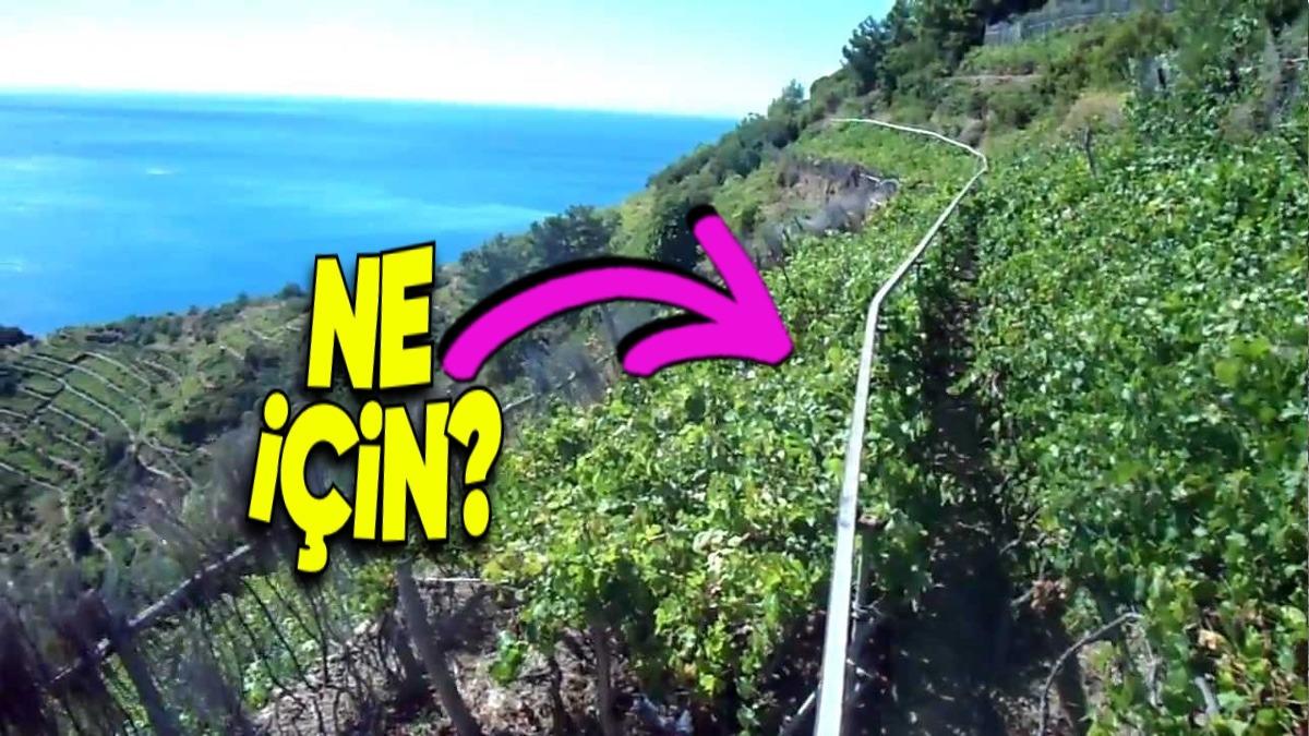 Bazı Tarlalara Neden Tren Rayı Kuruyorlar? Tek Sebebi Ulaşım Değil!