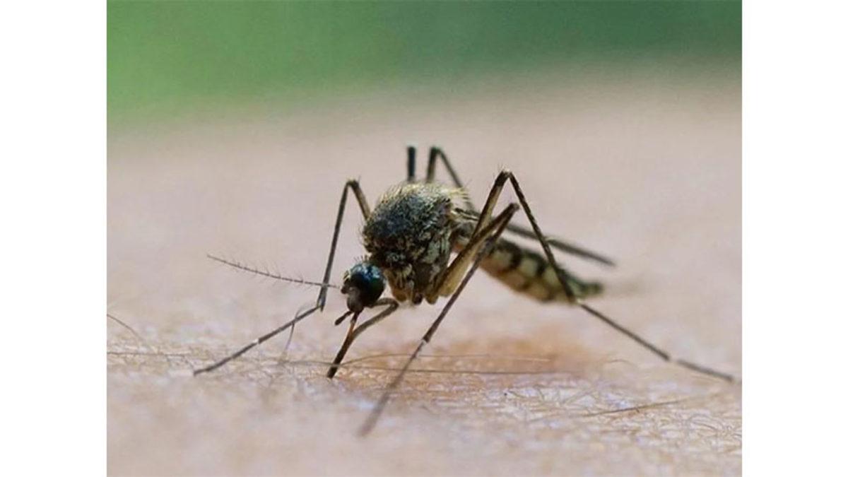 2024 Yılı Boyunca Bilim Dünyasına Damgasını Vuran Hangi Bilimsel Gelişmeler Yaşandı?