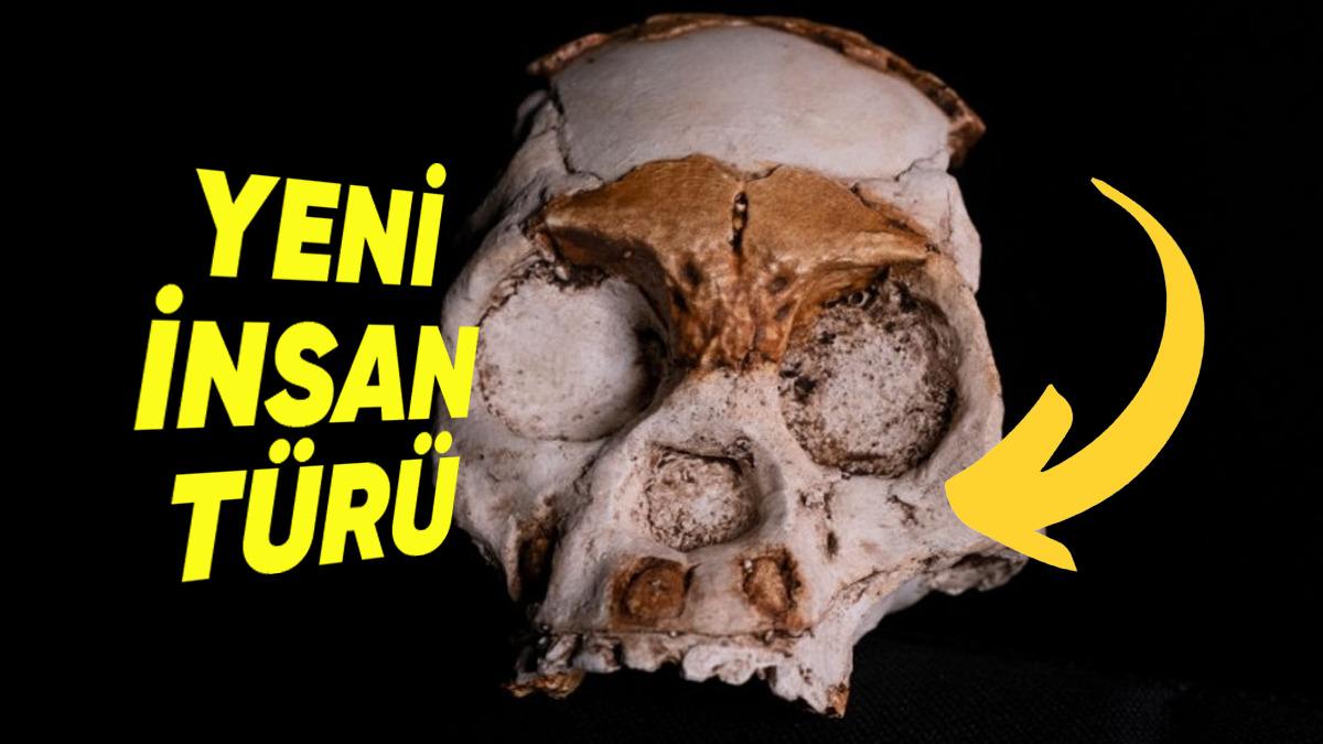 Yeni Keşfedilen ve Büyük Kafalı Bir İnsan Türü Olan ’Homo Juluensis’ler Hakkında Birbirinden Enteresan Gerçekler