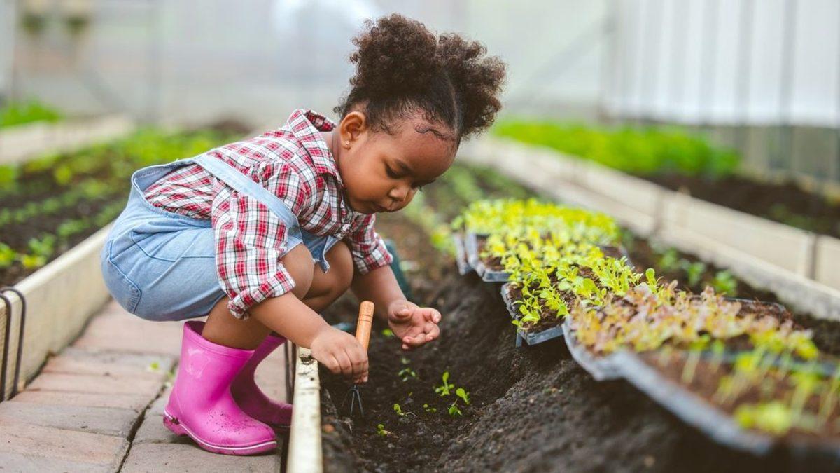 Çocukların Topraklık Alanlarda Oynamalarına İzin Vermek Doğru mu? Bu Sayede Bağışıklık Sistemleri Gerçekten de Güçleniyor mu?