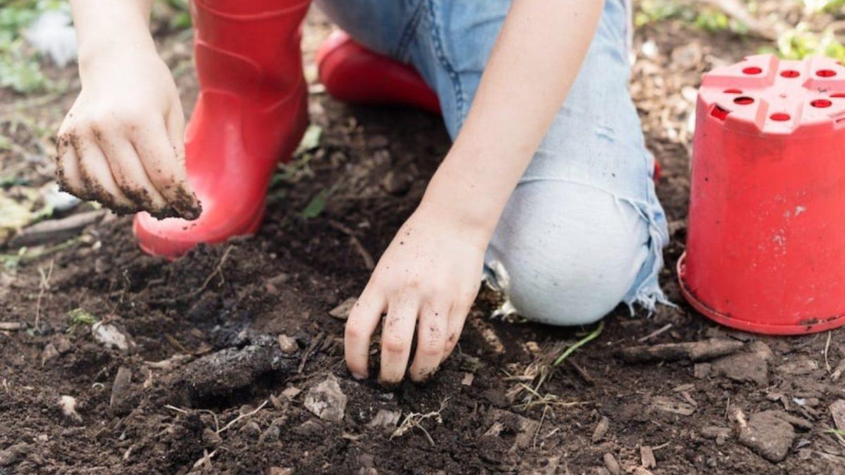 Çocukların Topraklık Alanlarda Oynamalarına İzin Vermek Doğru mu? Bu Sayede Bağışıklık Sistemleri Gerçekten de Güçleniyor mu?