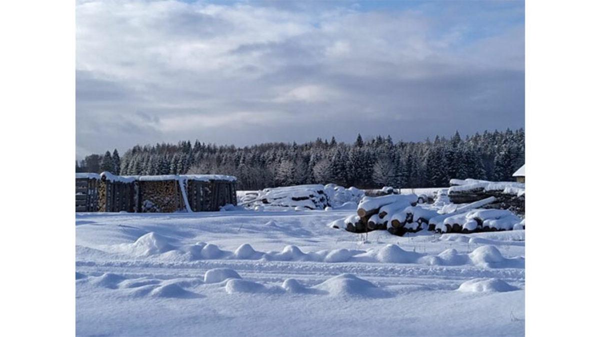 Baltık Ülkelerinde Hava, Diğer Avrupa Ülkelerine Kıyasla Neden Daha Bulutlu Oluyor?