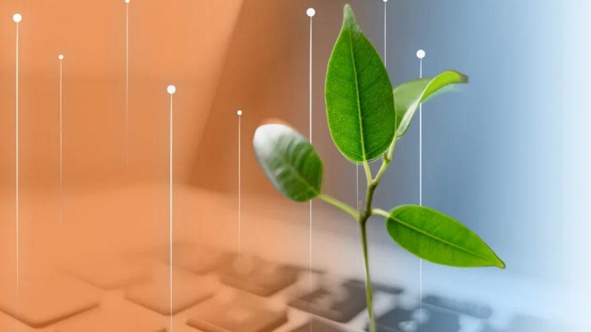 Enerji Maliyetlerini Teknolojiyle Yöneten Billgy: “Ek Enerji Maliyetleri Yatırımları Azaltacak”