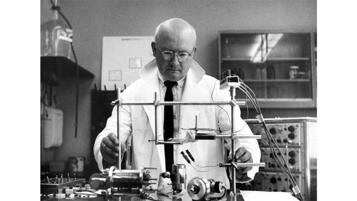 Bir Kafayı Başka Bir Vücuda Nakletmek Mümkün mü? 1970’te Bir Maymun Üzerinde Denendi!