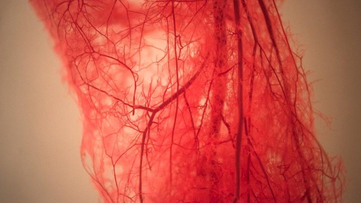 Meğerse İçinde Altın Varmış: Kan Hakkında Muhtemelen Daha Önce Hiç Duymadığınız 5 Şaşırtıcı Bilgi