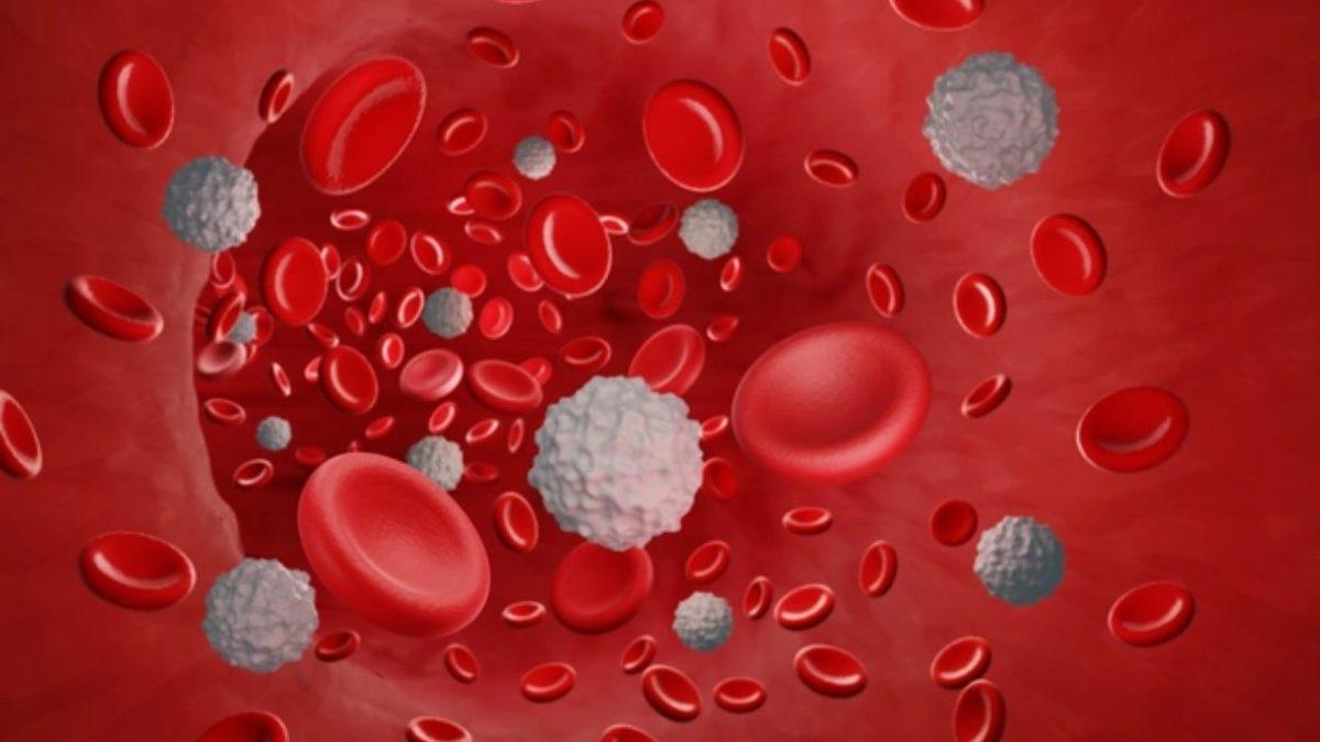 Meğerse İçinde Altın Varmış: Kan Hakkında Muhtemelen Daha Önce Hiç Duymadığınız 5 Şaşırtıcı Bilgi