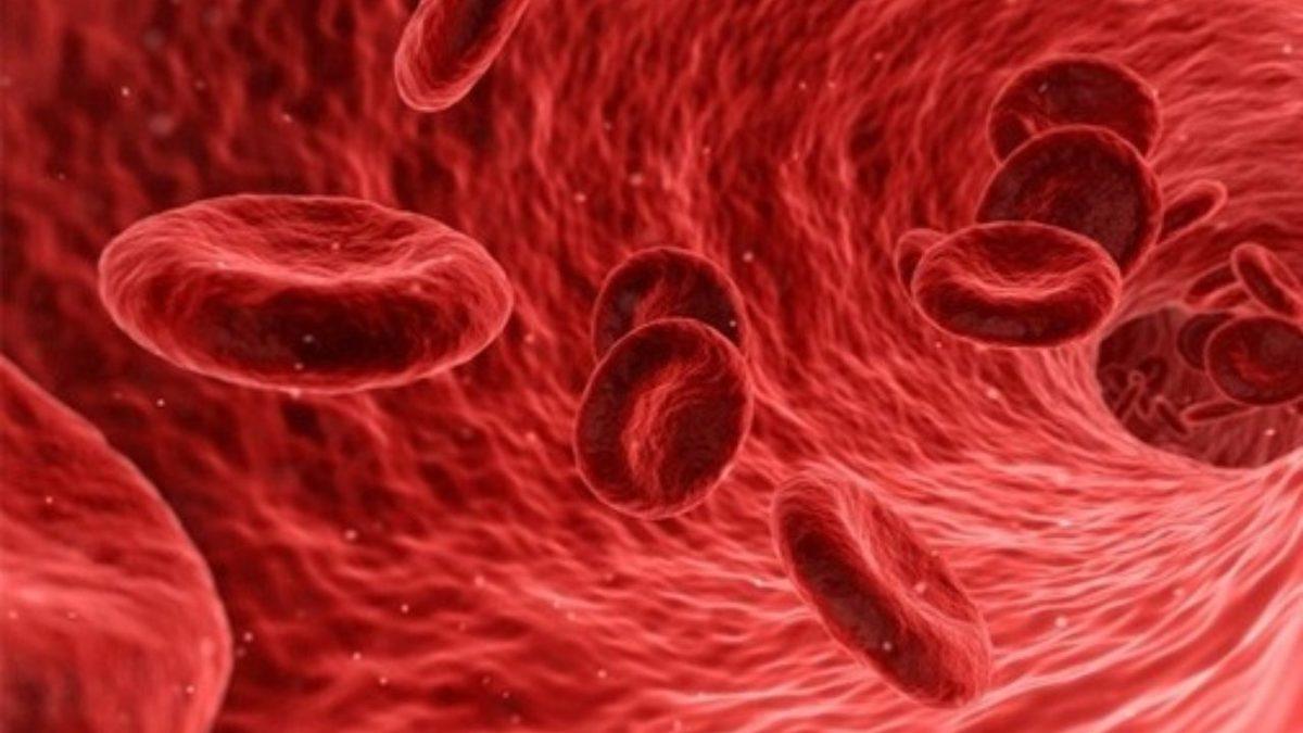 Meğerse İçinde Altın Varmış: Kan Hakkında Muhtemelen Daha Önce Hiç Duymadığınız 5 Şaşırtıcı Bilgi