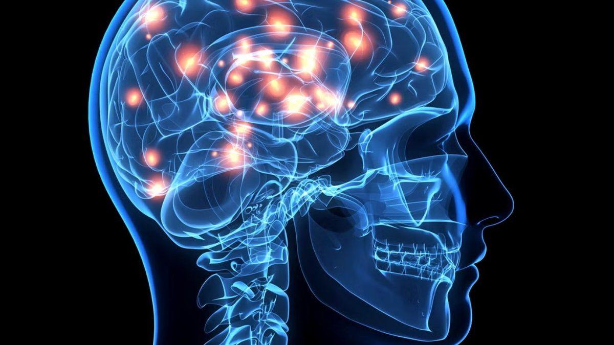 Ortalamaya Göre Zeki Olan İnsanların Çok Daha Sabırlı Olduğunu Gösteren Çarpıcı Araştırma: Peki Nasıl?