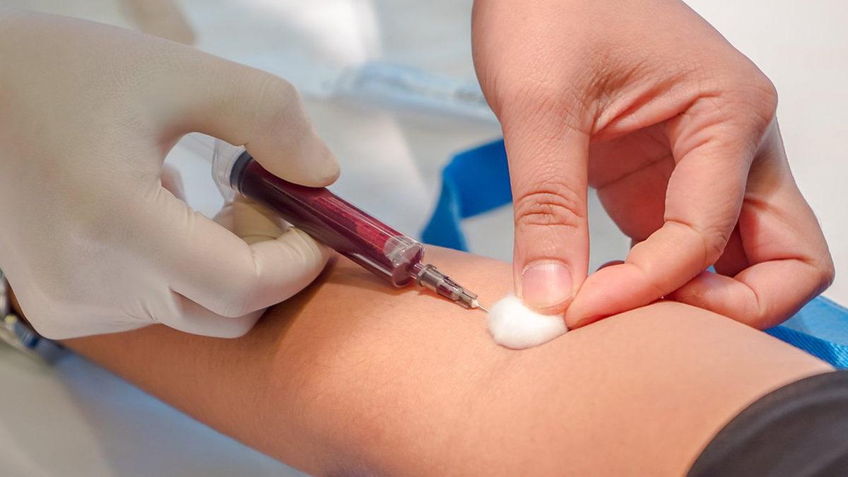 Test İçin Verdiğimiz Kanların İşi Bitince Ne Oluyor? Kimse Bu Yolculuğun Sonunu Bilmiyor!