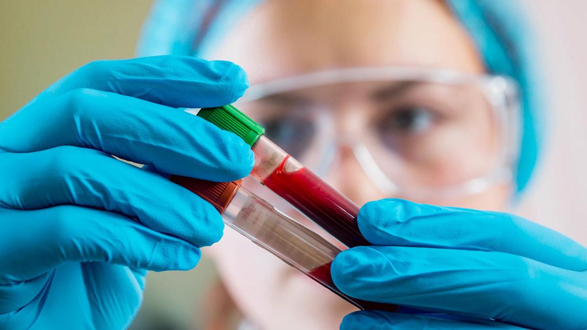 Test İçin Verdiğimiz Kanların İşi Bitince Ne Oluyor? Kimse Bu Yolculuğun Sonunu Bilmiyor!