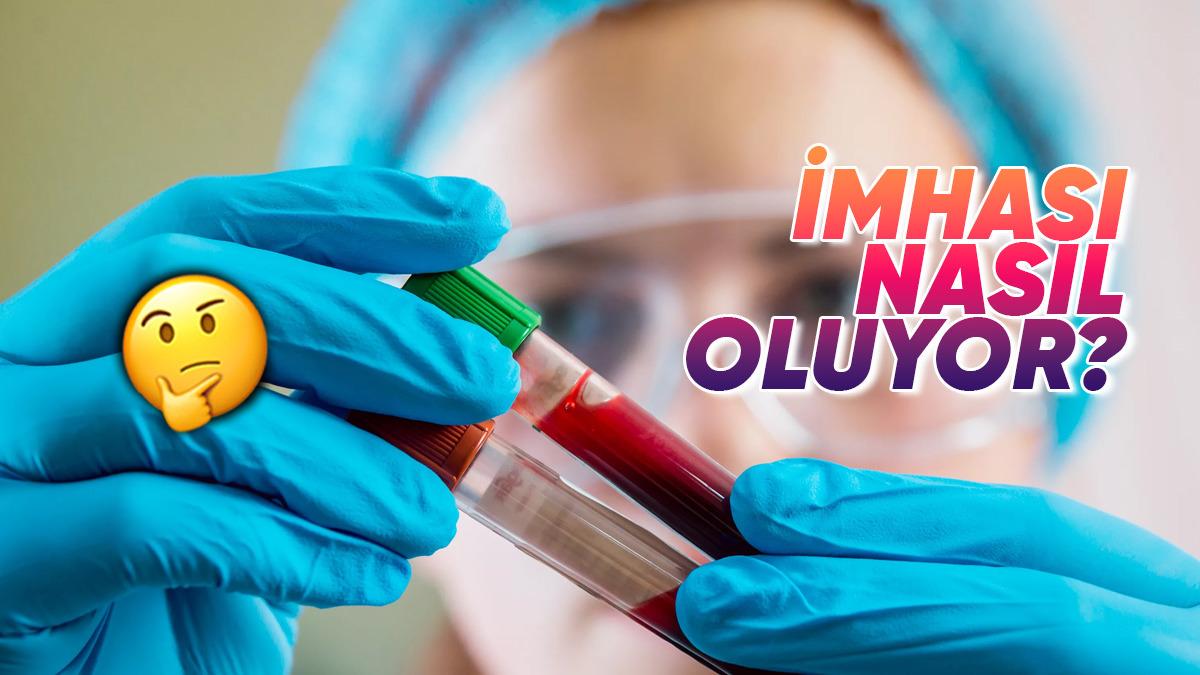 Test İçin Verdiğimiz Kanların İşi Bitince Ne Oluyor? Kimse Bu Yolculuğun Sonunu Bilmiyor!