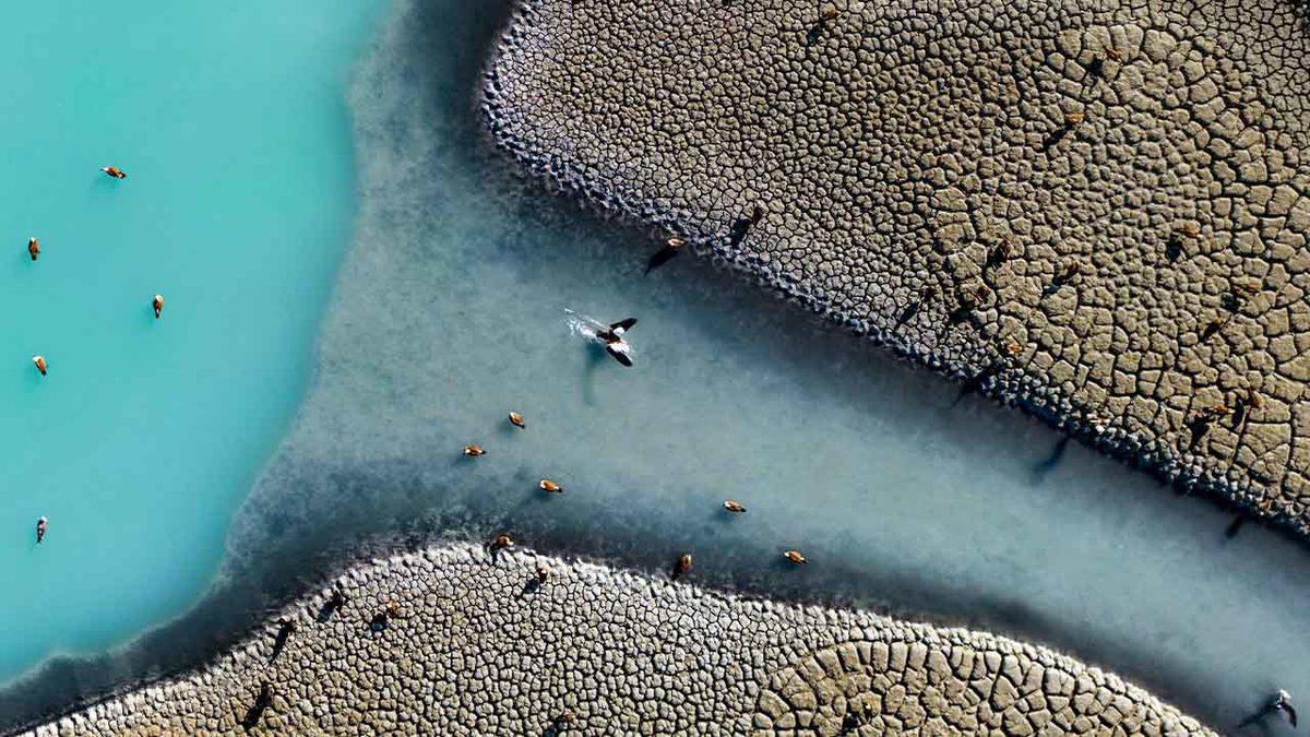 Wikipedia’nın Fotoğraf Yarışması 