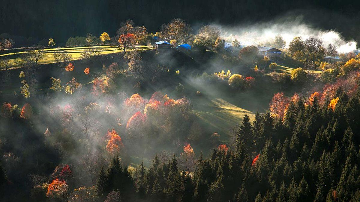 Wikipedia’nın Fotoğraf Yarışması 