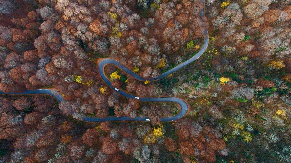 Wikipedia’nın Fotoğraf Yarışması 