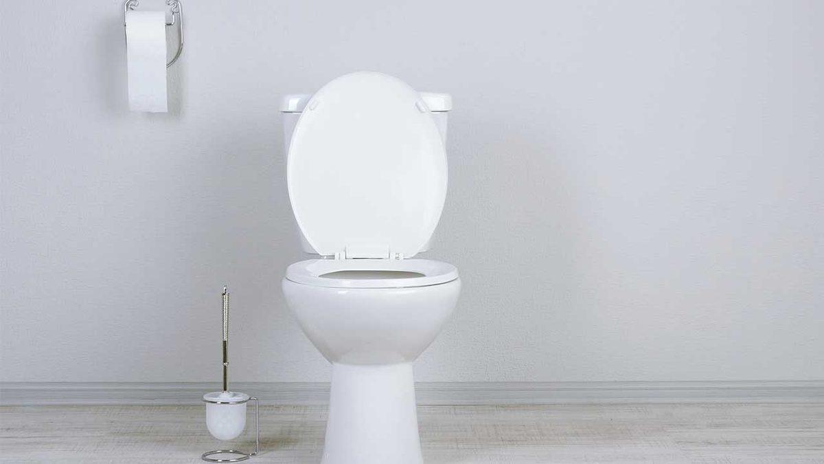 Bunun Bile Bir Nedeni Varmış: Tuvaletler Neden Genellikle Beyazdır?