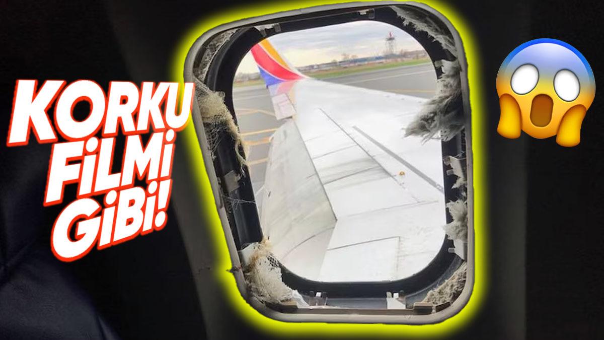 Bir Uçağın Motorunun ’Patlaması’ Bir Kadının Hayatına Nasıl Mâl Oldu? (Aklınıza Bile Gelmez)