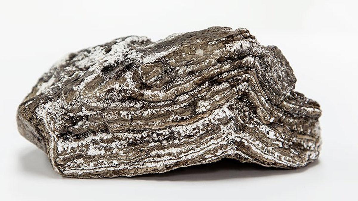 Aslında Günlük Hayatımızda da Kullanıyoruz: Altın Kadar Pahalı Olan Bu Balina Dışkısının Özelliği Ne?