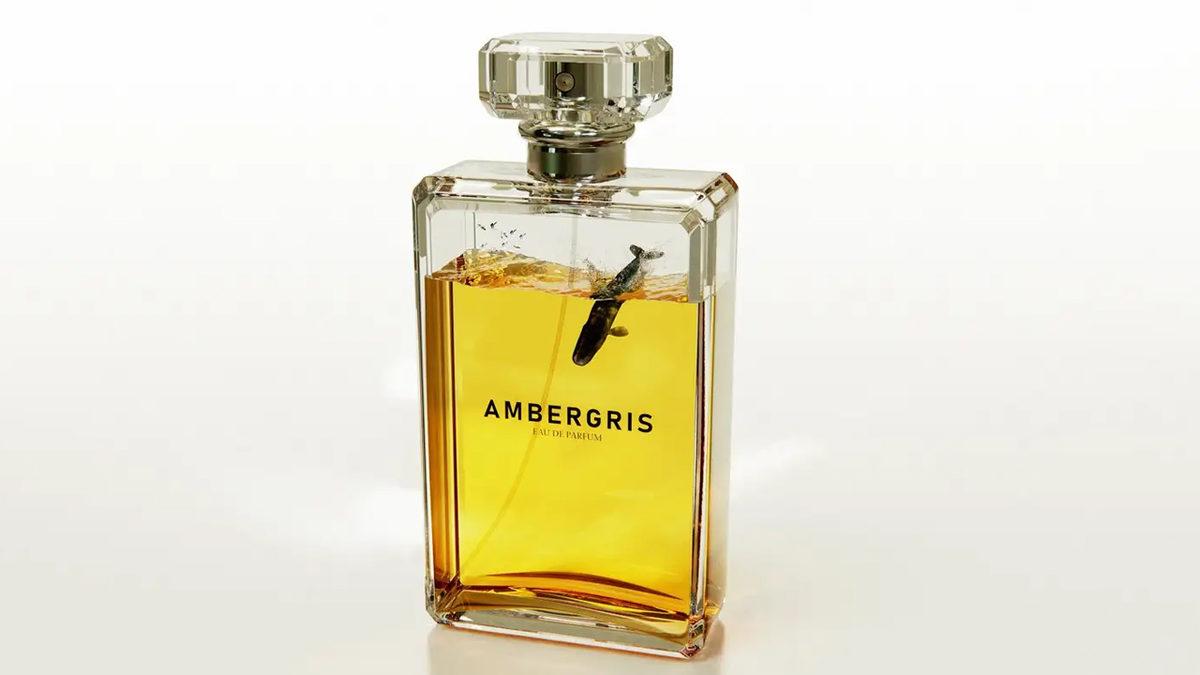 Aslında Günlük Hayatımızda da Kullanıyoruz: Altın Kadar Pahalı Olan Bu Balina Dışkısının Özelliği Ne?