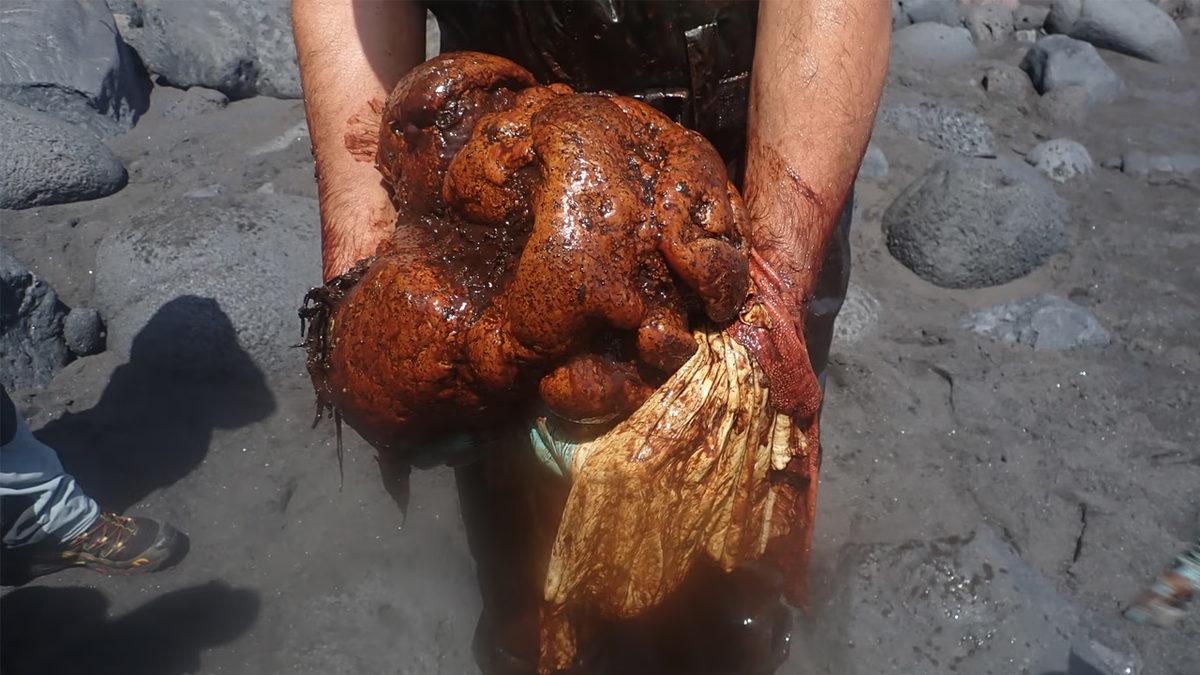 Aslında Günlük Hayatımızda da Kullanıyoruz: Altın Kadar Pahalı Olan Bu Balina Dışkısının Özelliği Ne?