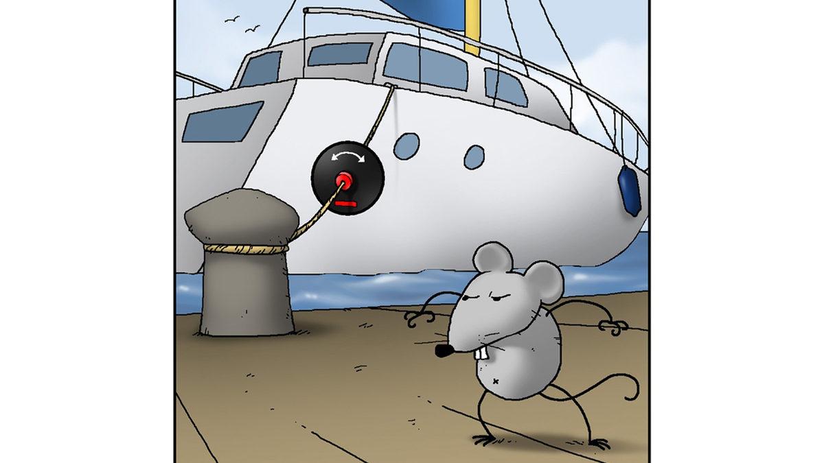 Gemilerin Bağlama Halatında Bulunan Bu Diskler Ne İşe Yarıyor? Sebebi Aklınızın Ucundan Bile Geçmeyecek!