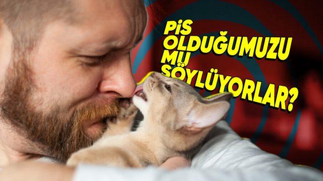 Kedilerin Zaman Zaman Bizi Yalamasının Sebebini Öğrenince Yüzünüzde Hafif Bir Tebessüm Belirecek