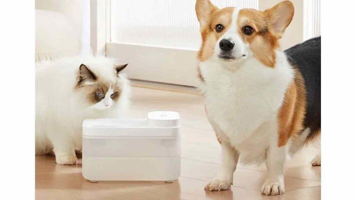 Xiaomi Evcil Hayvanlar İçin Akıllı Su Pınarını Tanıttı: Sevimli Dostlarımızın Su İhtiyacını Karşılamak Artık Çok Daha Kolay Olacak