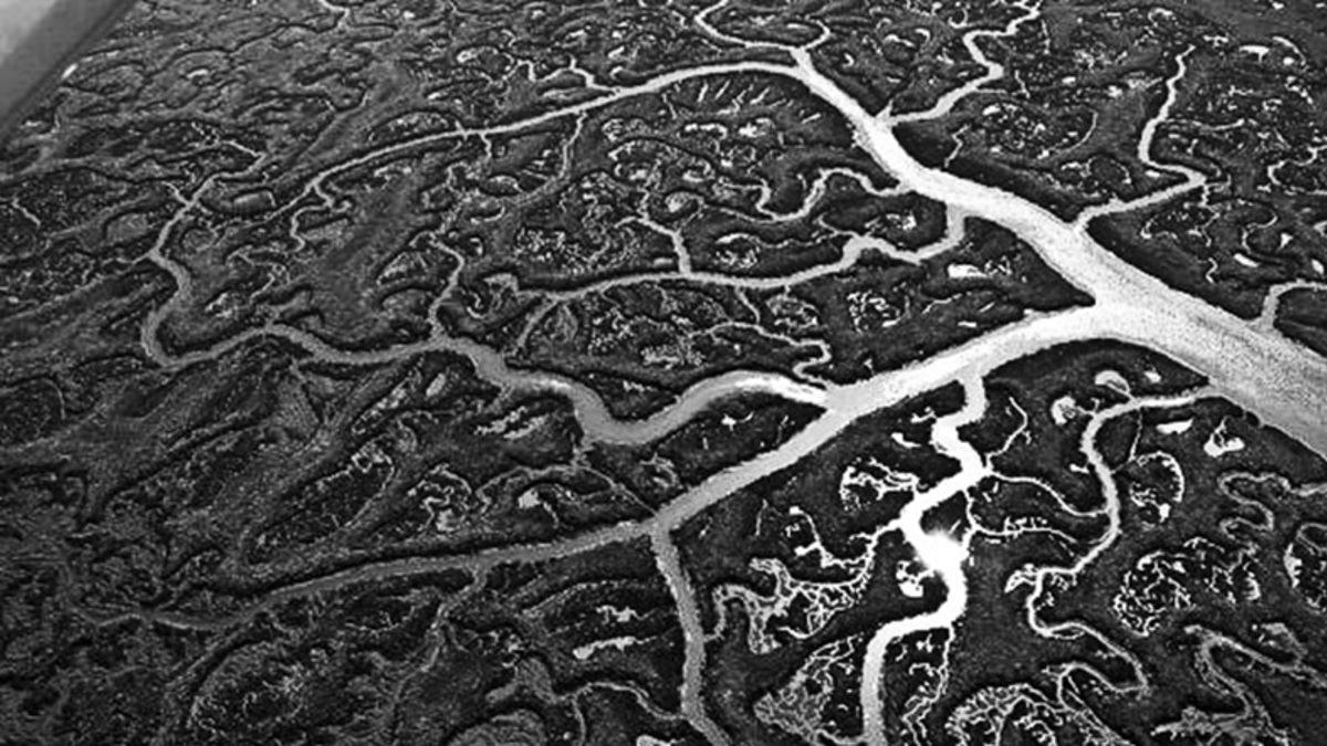 Beyinlerimiz ’Parmak İzi’ Gibi Eşsiz İzlere Sahip