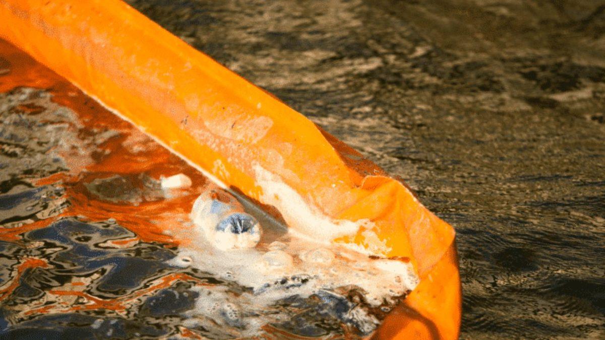 Petrol Sızıntıları Nasıl Temizlenir? İnsanlığa ve Hayvanlara Zarar Verme Potansiyeli Çernobil Kadar Yüksek!