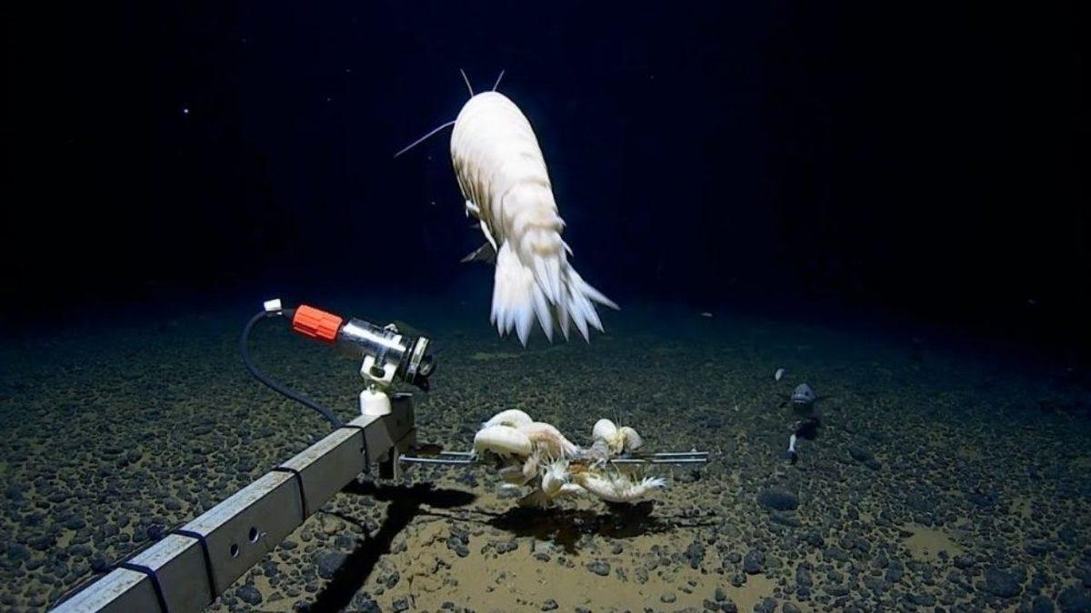 Bugün Hâlâ Gizemini Koruyan Dünya’nın En Ürkütücü 8 Çukuru: Mariana’dan Daha Derini Var!