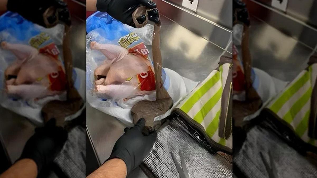 Bacakta Gizlenen Kuştan Gülleye: İşte Havaalanı Güvenliğinde El Konulan Sıra Dışı Nesneler ve Yasa Dışı Taşınan Hayvanlar