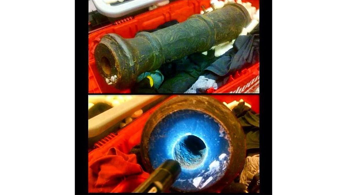 Bacakta Gizlenen Kuştan Gülleye: İşte Havaalanı Güvenliğinde El Konulan Sıra Dışı Nesneler ve Yasa Dışı Taşınan Hayvanlar