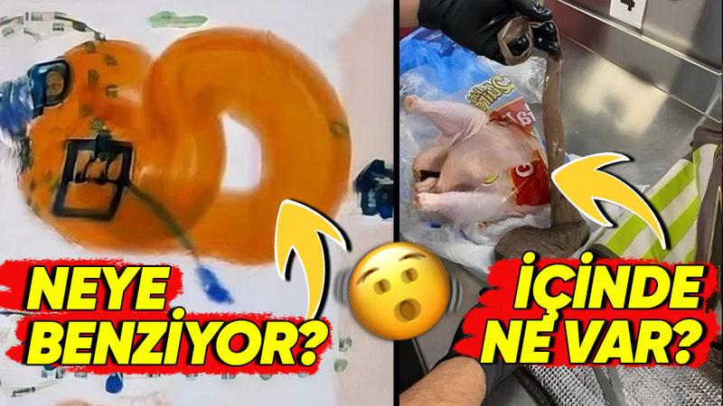 Bacakta Gizlenen Kuştan Gülleye: İşte Havaalanı Güvenliğinde El Konulan Sıra Dışı Nesneler ve Yasa Dışı Taşınan Hayvanlar