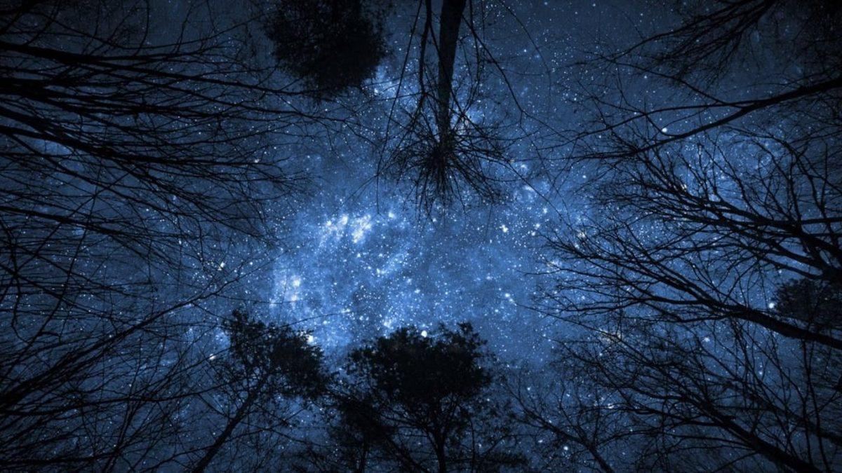 Yaz Aylarına Göre Kış Aylarında Gökyüzünün Daha Açık, Yıldızların da Daha Parlak Görünmesinin İlginç Sebebi