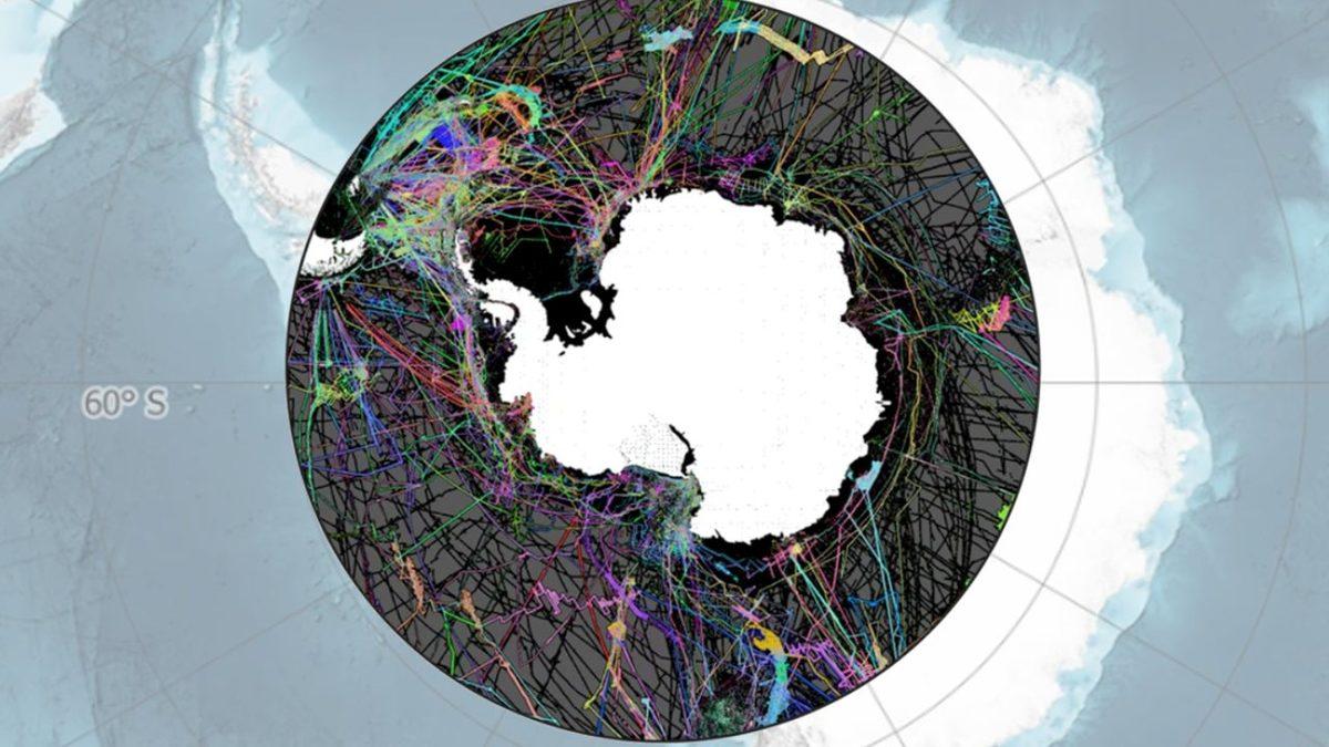 Deniz Canavarlarından Yer Altı Nehirlerine: Bilim İnsanlarını Şaşkına Çeviren Antarktika’daki 10 Sıra Dışı Keşif