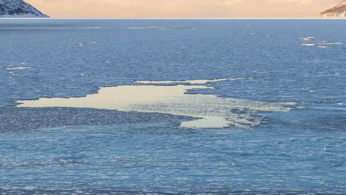 Deniz Canavarlarından Yer Altı Nehirlerine: Bilim İnsanlarını Şaşkına Çeviren Antarktika’daki 10 Sıra Dışı Keşif